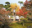 京都智積院　庭園